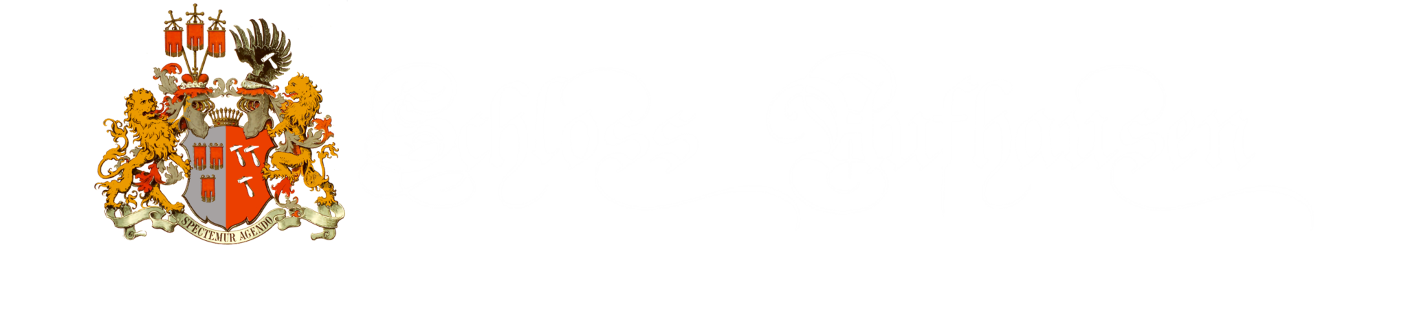 Schloss Aufhausen Logo
